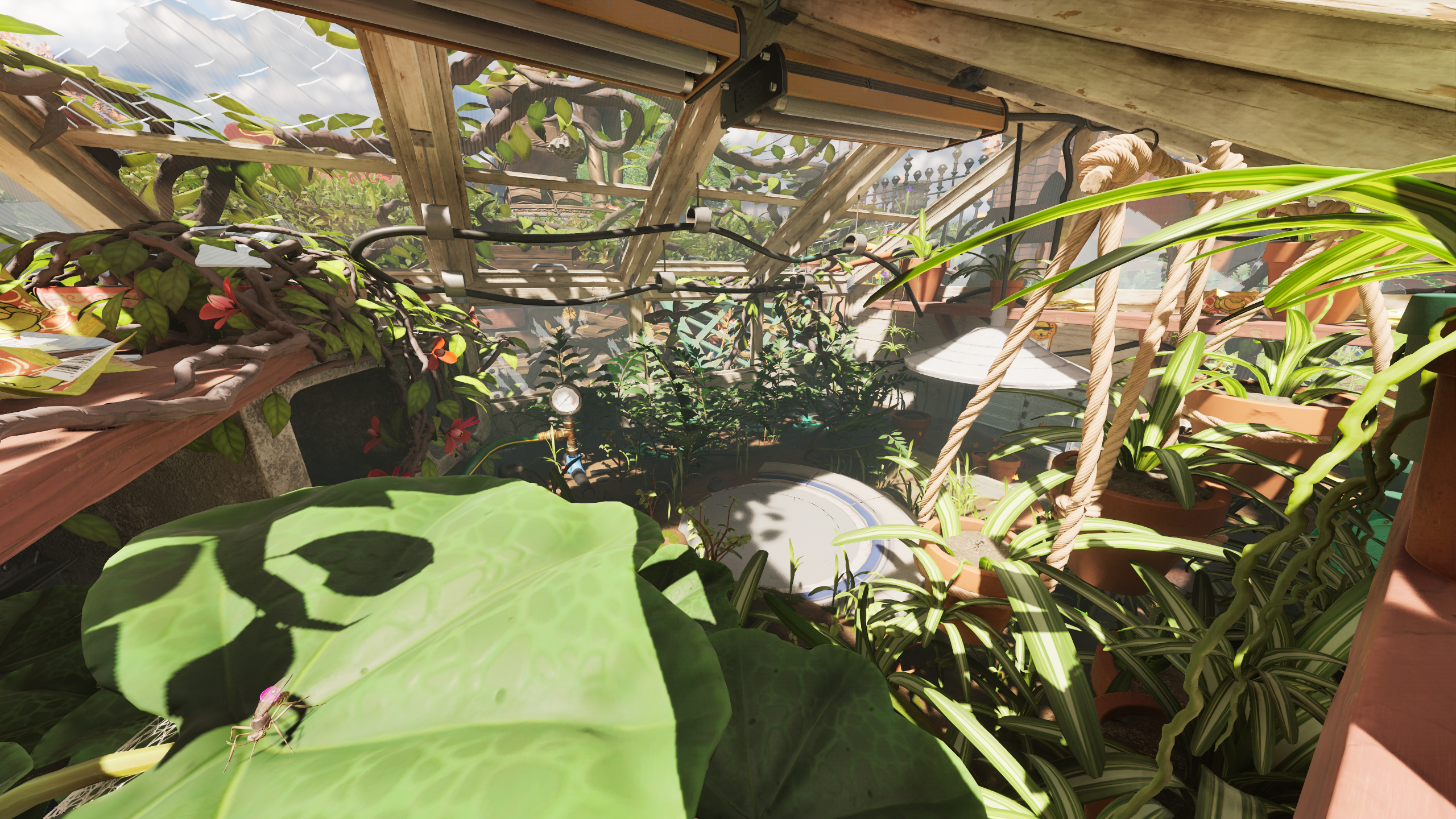 Greenhouse