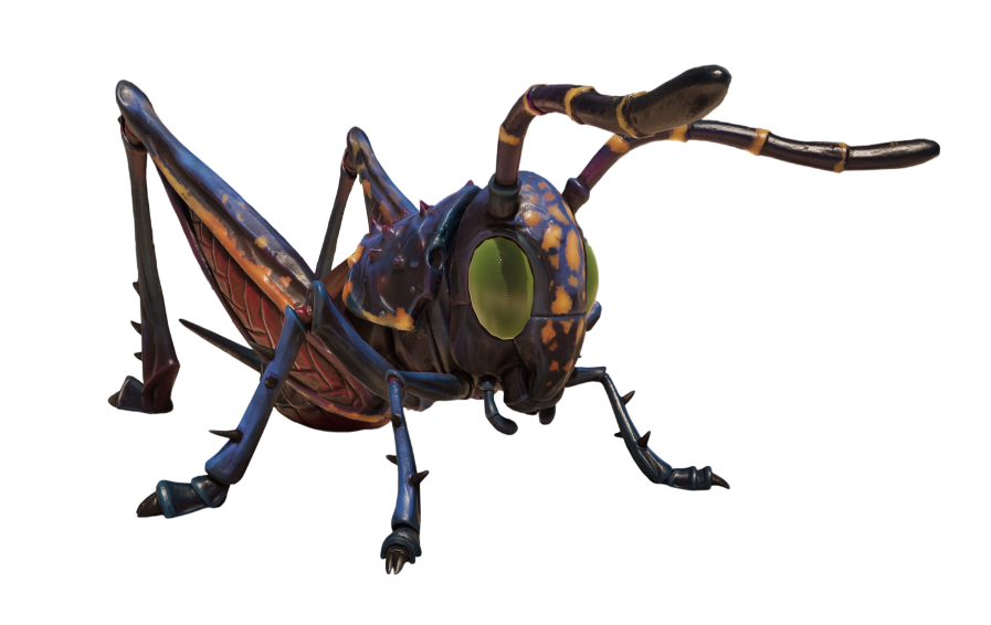 Cricket