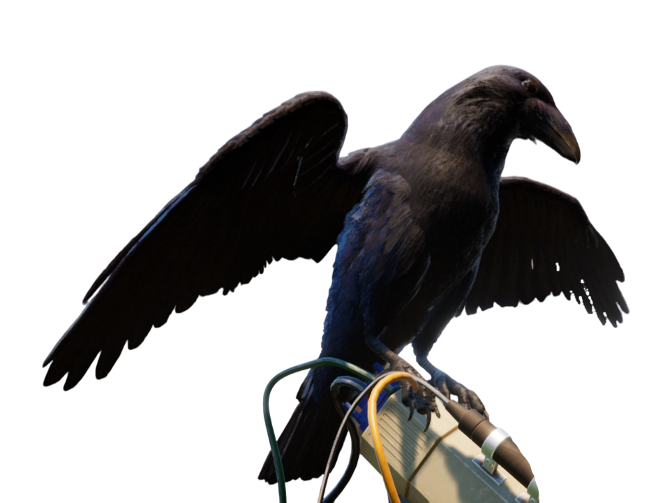 Crow