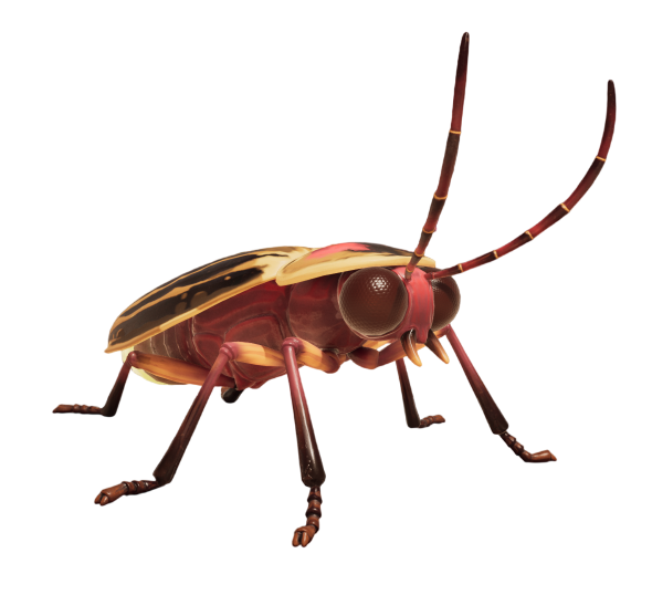 Firefly