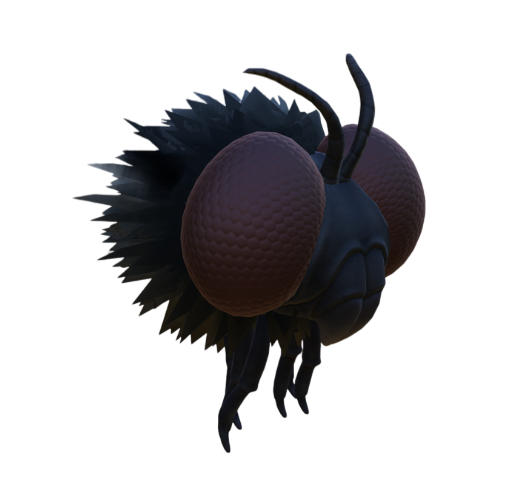 Gnat