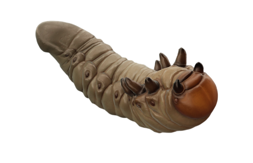 Grub