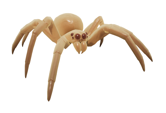 Spiderling