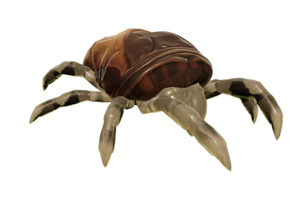 Tick