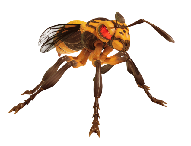 Wasp